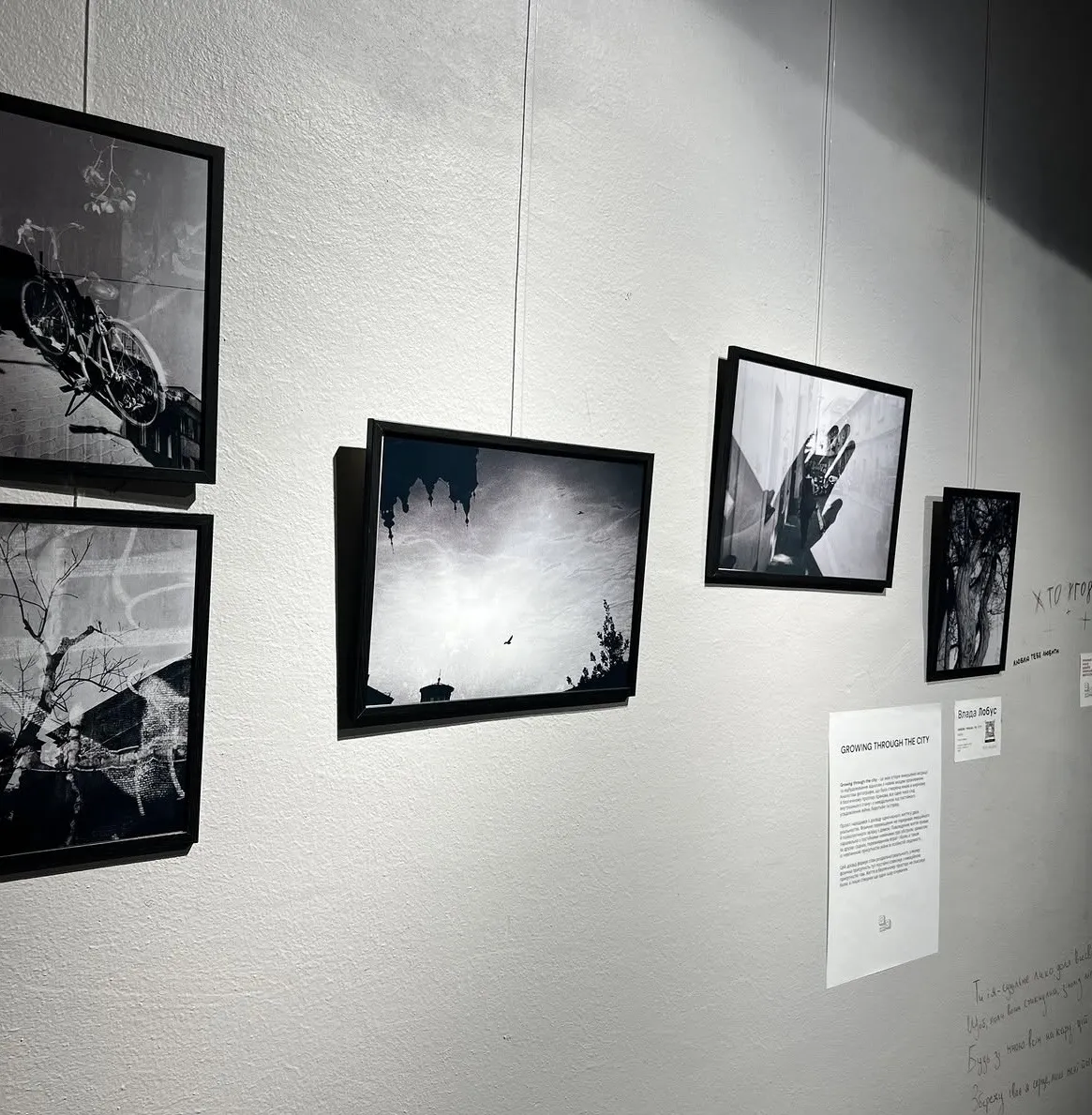 Image of IMG by Katya Onyshko