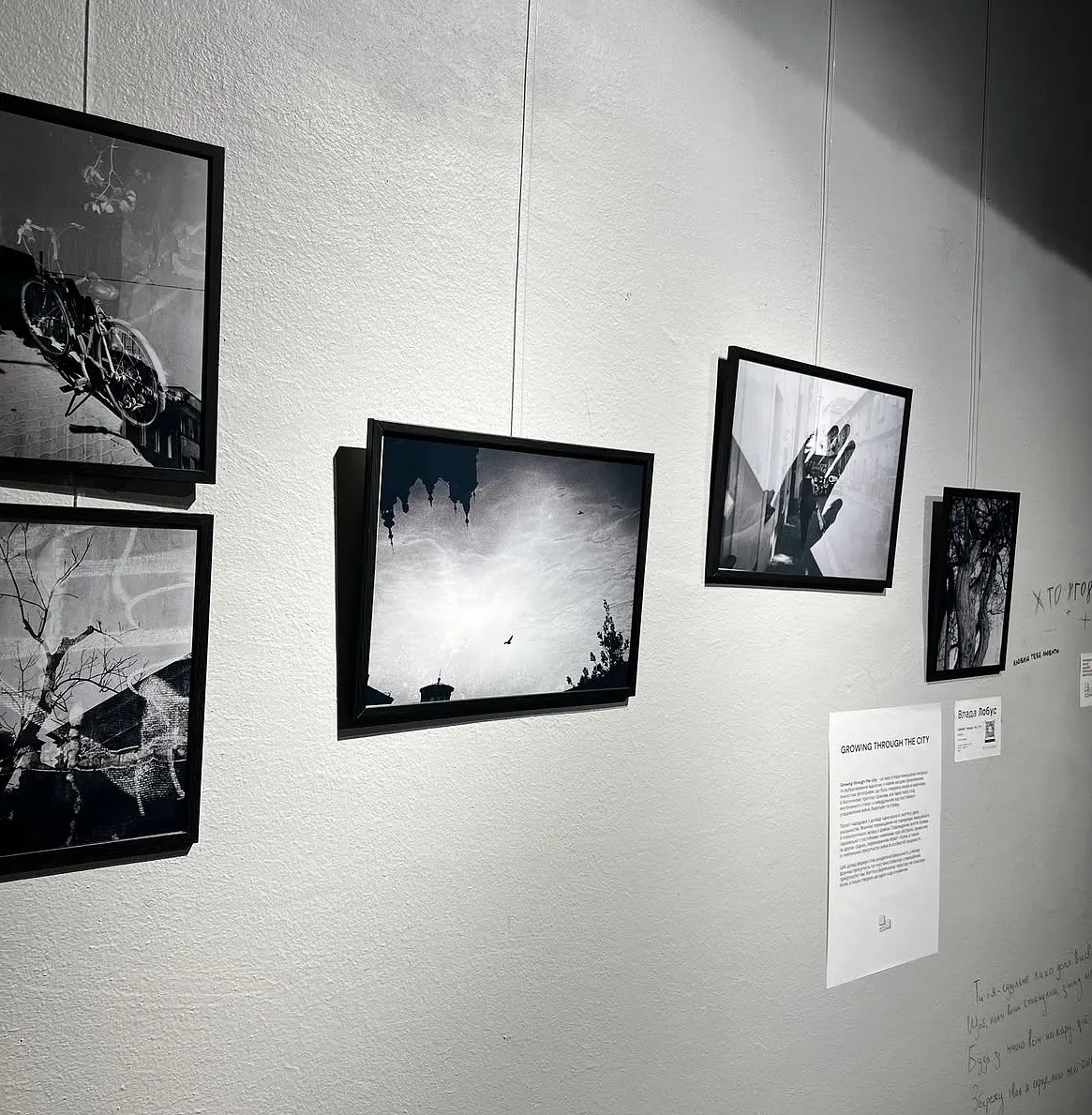 Image of IMG by Katya Onyshko